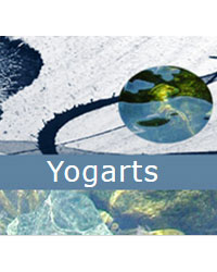 Professeur Yoga YOGARTS 